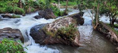 Linn View Home Stay Munnar