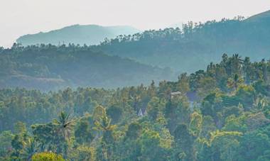 Treebo Trend Wanderlust Residency Anachal