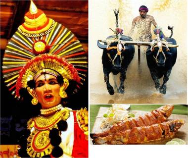 Hermit Crab Beach Serviced Apartments