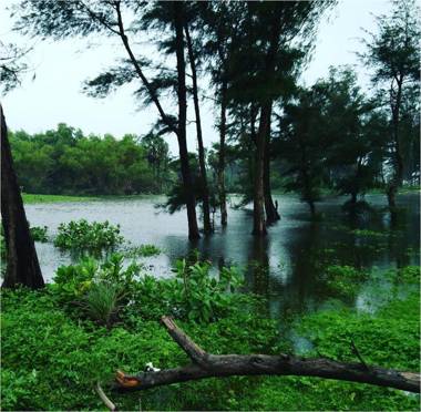 Hermit Crab Beach Serviced Apartments