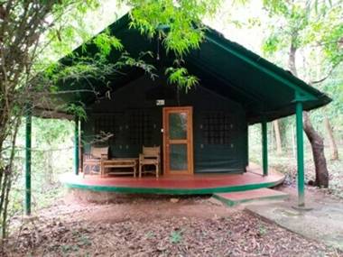 seethanadi Nature Camp-Jungle Lodges