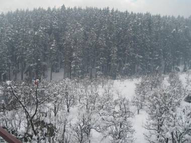 Snow Valley Resorts & Spa Manali