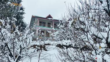 Manali Top Inn