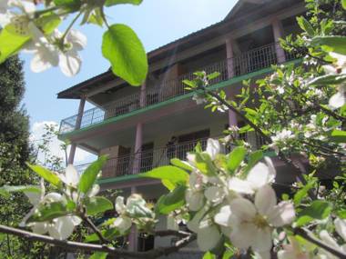 Manali Top Inn