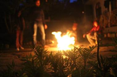 Orchards House - The Hidden Tribe