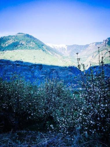 Soli Tree Luxury Camps