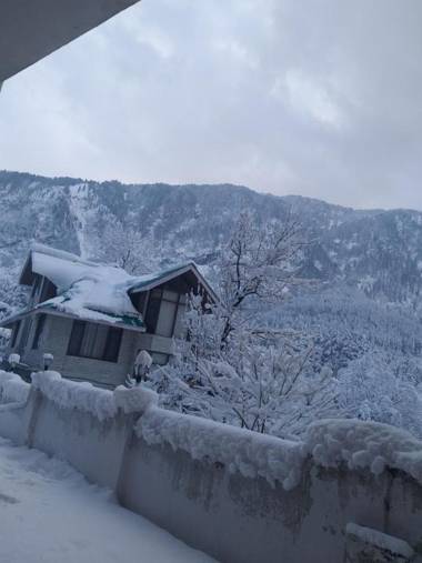 Hotel Ambika Residency Manali