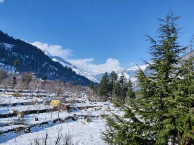 Safar Hostel Manali