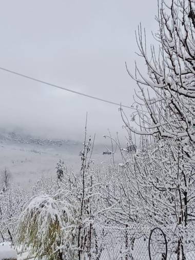 Lotus Inn River View