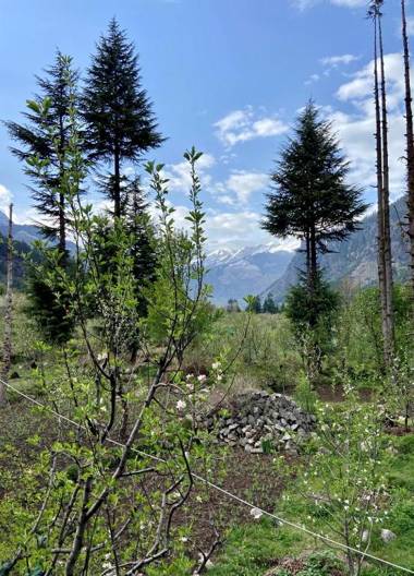 Getaway Stays Manali