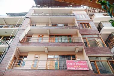 Collection O 81512 Apple Blossom