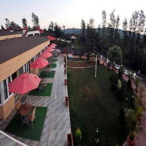 King Garden