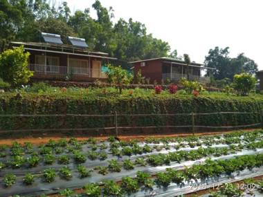 Jungle Valley Agriculture Resort