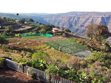 Nexottel Sai Cottage