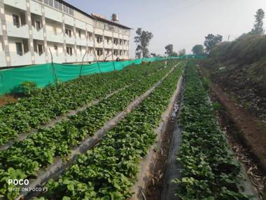 The Mountain Mist Hotel