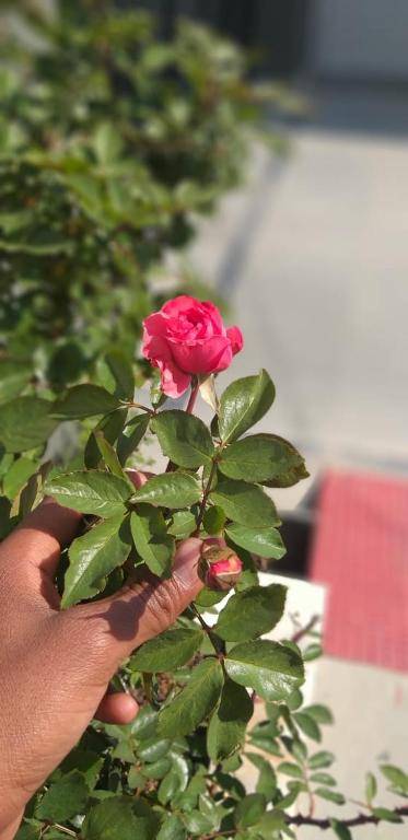 Om Shanti Guest House