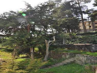 Hill Heaven Home Stay