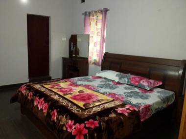 Holidays and Celebrations