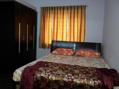 Holidays and Celebrations