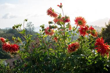 The Xanadu-Birkenhead