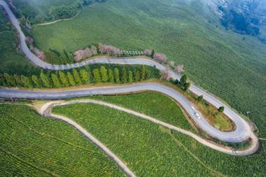 Eco Adventure Resorts The Temi Bungalow