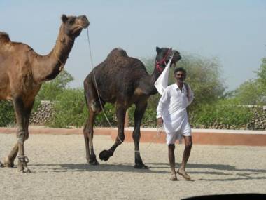 Bishnoi Village Camp and Resort