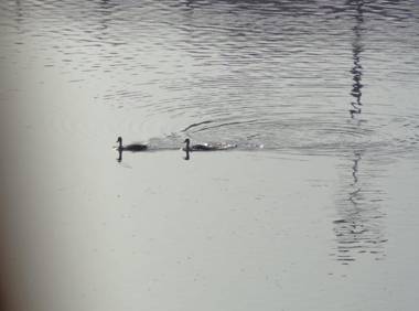 Lakeside Inn Ratanada