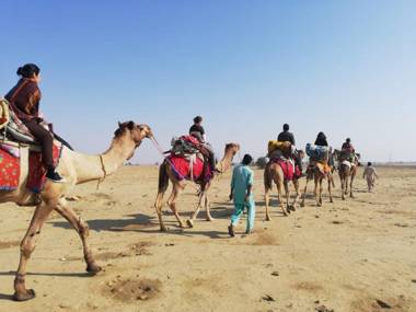 Crazy Camel Hotel &Safari