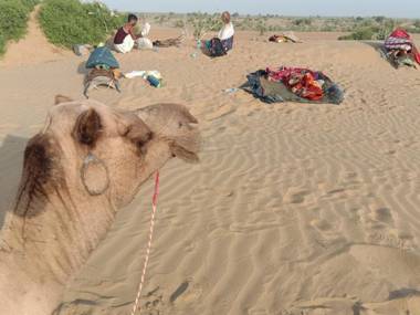 Crazy Camel Hotel &Safari