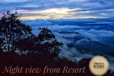 Blue Leaf By Papaya Tree