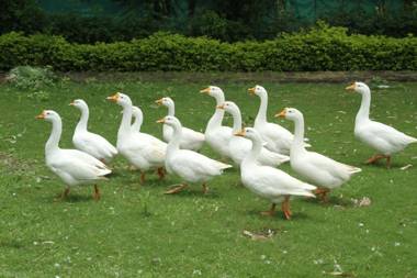 Energy The Village Tourism By WB Inn