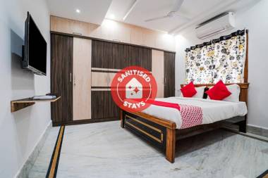 OYO 13746 Mint Leaves