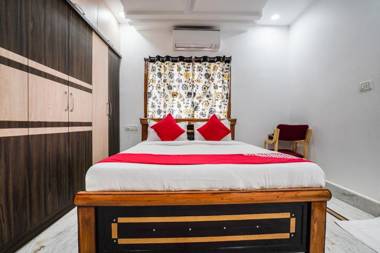 OYO 13746 Mint Leaves