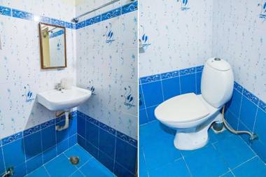 OYO 13300 Hotel New Platinum