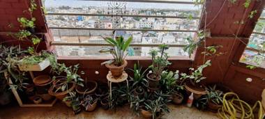 Cozy Colorful Homestay for Women with City view