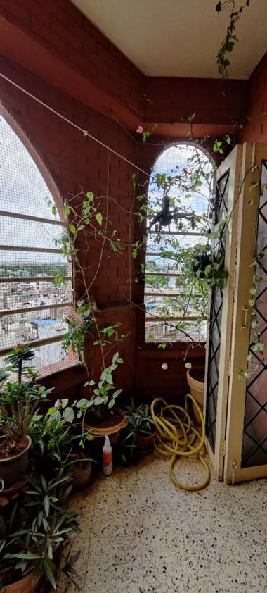 Cozy Colorful Homestay for Women with City view