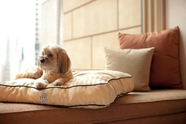 Hyatt Place Gurgaon Udyog Vihar