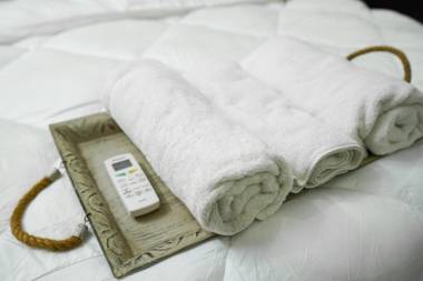 Lime Tree 2 Bhk serviced Apartment Near Fortis Gurgaon