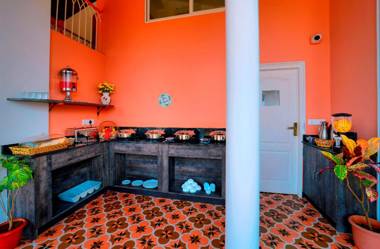 Treehouse Vega A Boutique Hotel