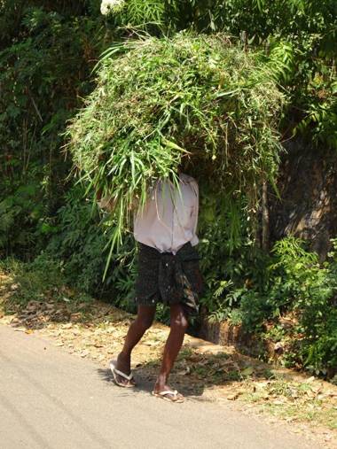 Jade Munnar - Boutique Resort