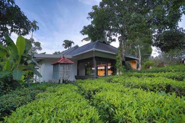 Chalona Jungle Eco Stay