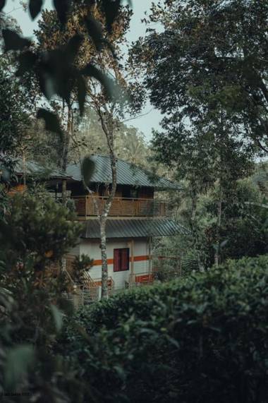 Chalona Jungle Eco Stay