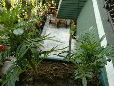 The Trekkers Hostel - Dehradun