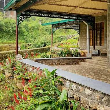 A Dogs Story Mussoorie