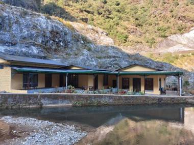 A Dogs Story Mussoorie