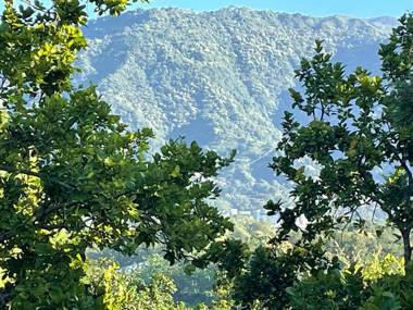Malsi Hill View Homestays