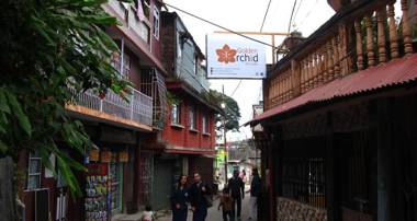 Golden Orchid-The Lodge