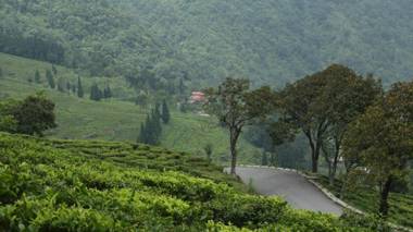 Kanchan View Homestay