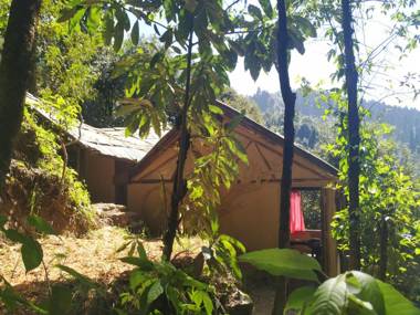 Tieedi Air Dwelling 2