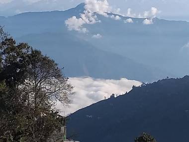 Madys view -Aaple Ghar